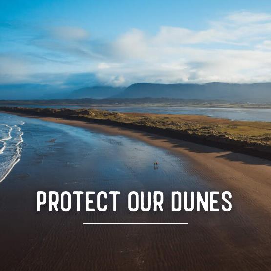 Protect Our Dunes Campaign